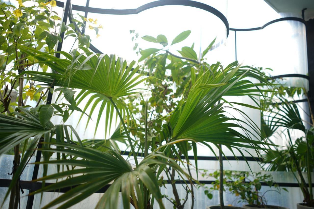 The Garden & Đà Nẵng